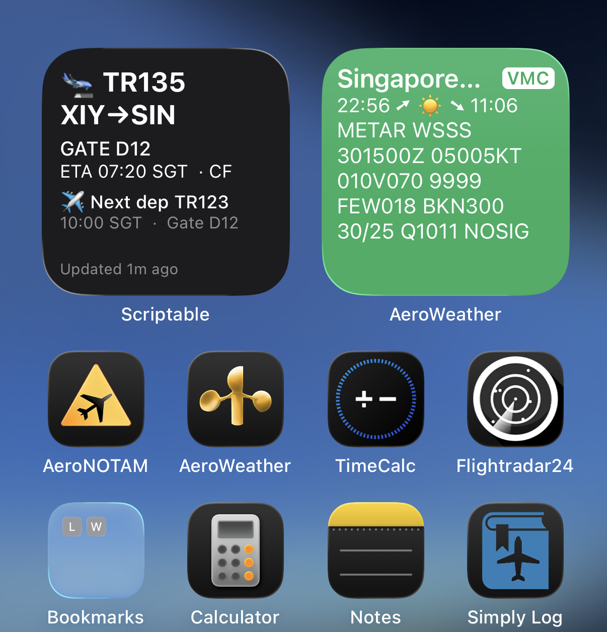 My iPhone home screen with the custom flight widget showing TR135 gate and ETA